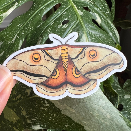 Moth Vinyl Sticker – Durable Waterproof Insect Decal for Laptops, Water Bottles, Journals & Nature Lovers
