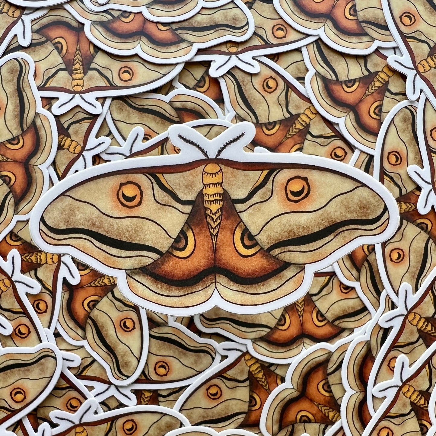 Moth Vinyl Sticker – Durable Waterproof Insect Decal for Laptops, Water Bottles, Journals & Nature Lovers