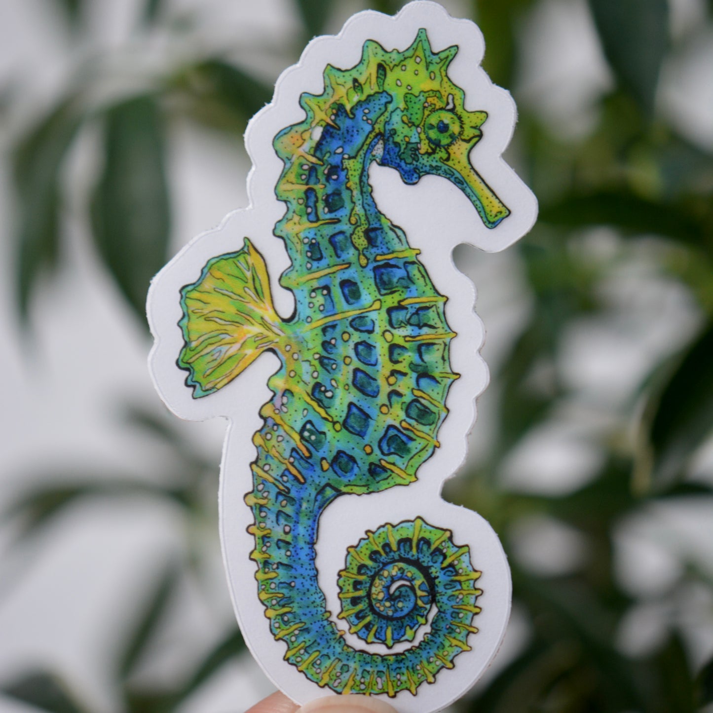 Blue Seahorse Vinyl Decal / Sticker