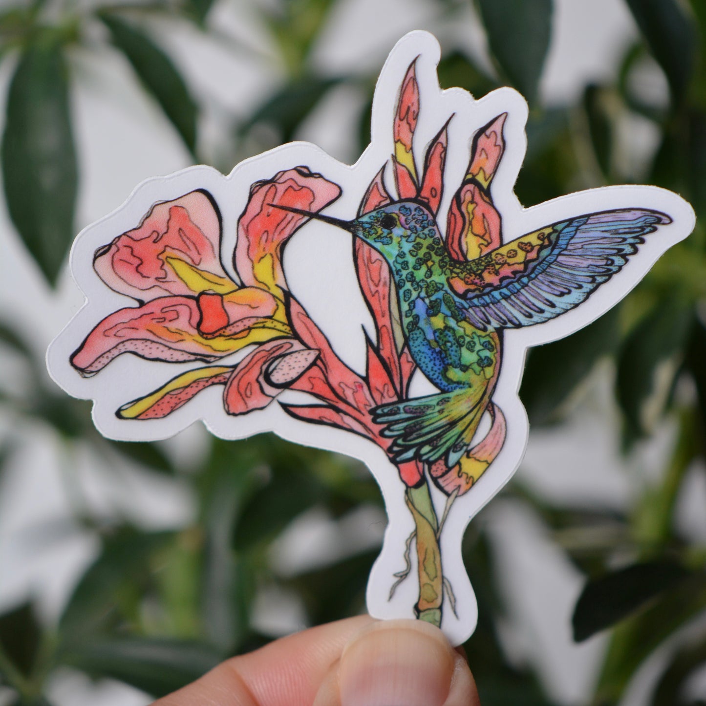 Cana Lilly & Hummingbird Vinyl Decal / Sticker