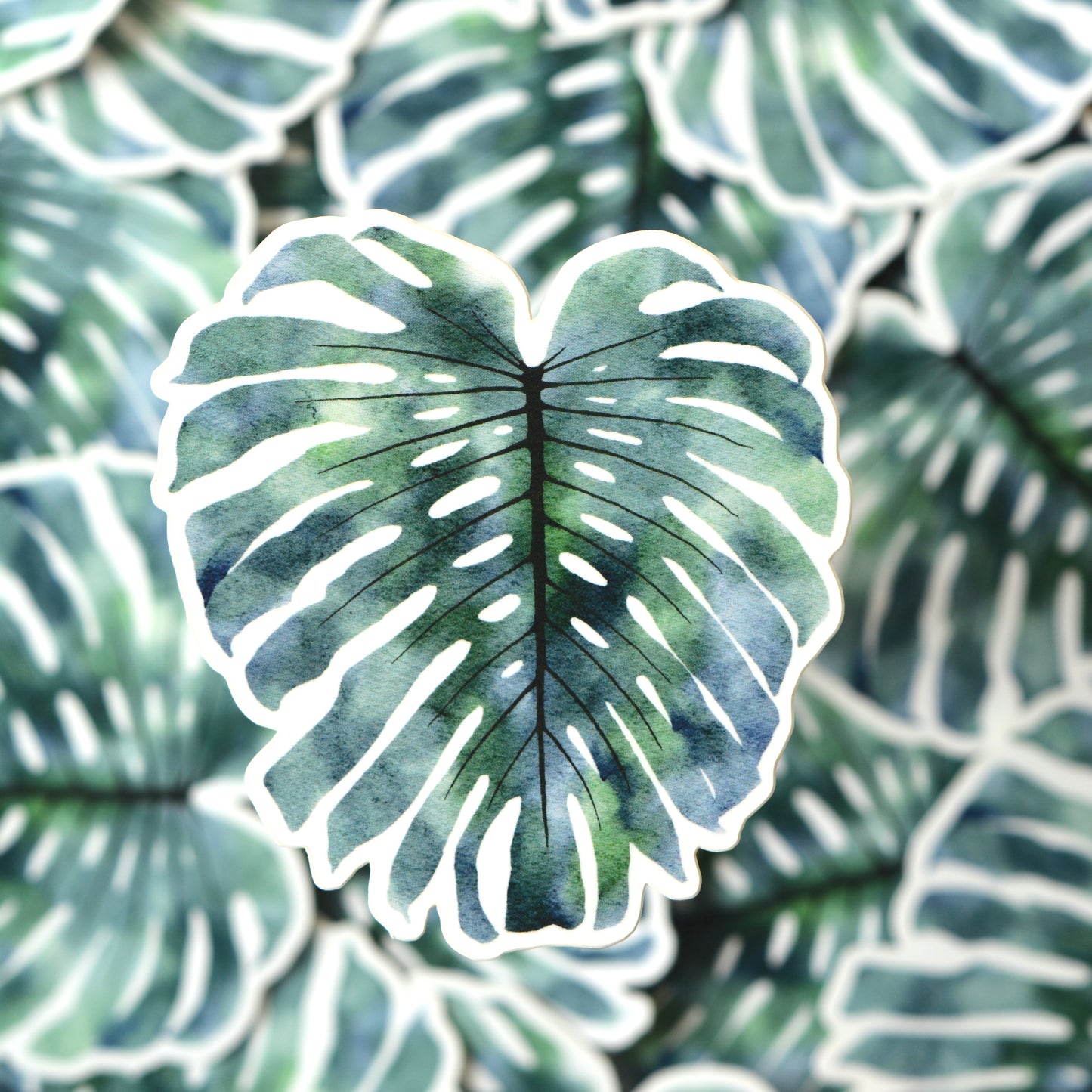 Monstera Vinyl Decal / Sticker