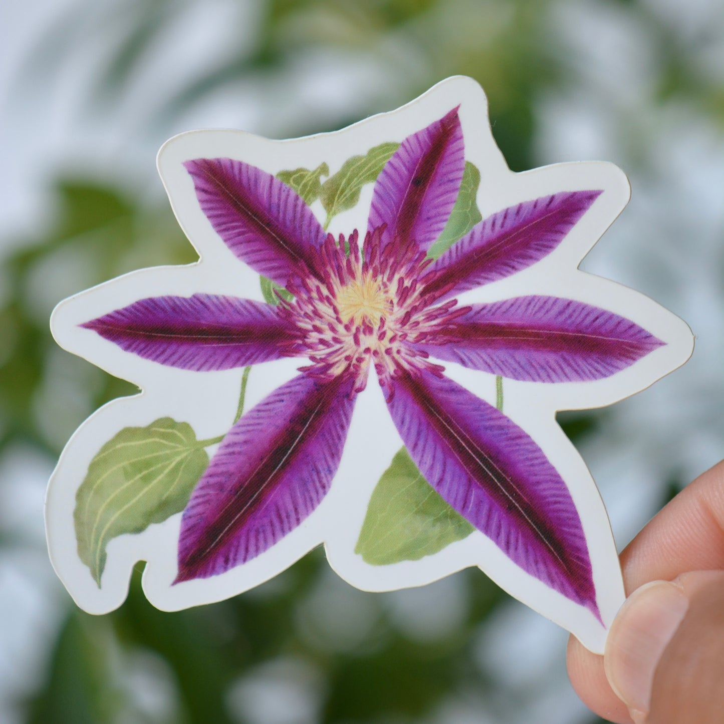 Clematis Vinyl Decal / Sticker