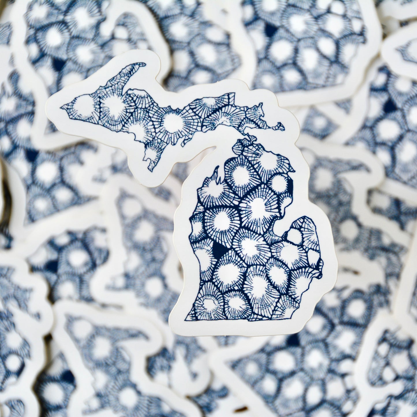 Michigan State Petosky Stone Vinyl Decal / Sticker