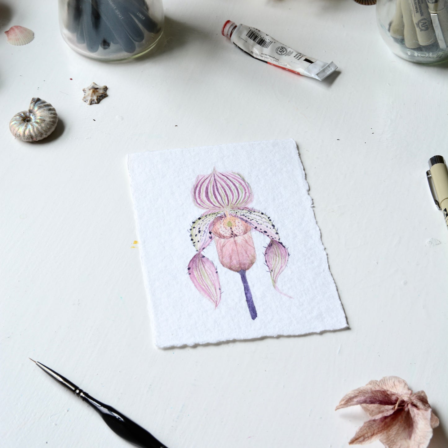Lady Slipper Orchid, Orignal Watercolor Painting