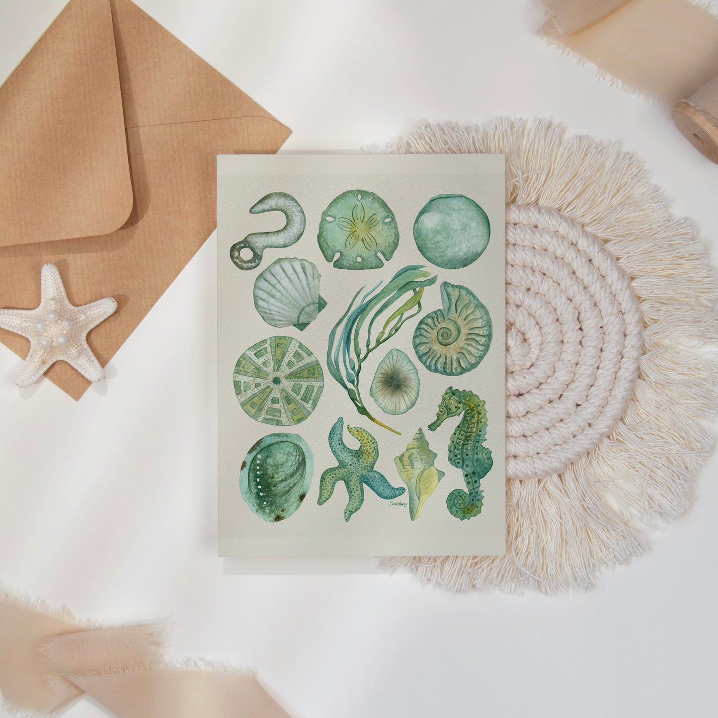 Coastal Treasures Greeting Card – Blank Seashell & Seahorse Illustration – Ocean-Inspired Stationery 4x5.5