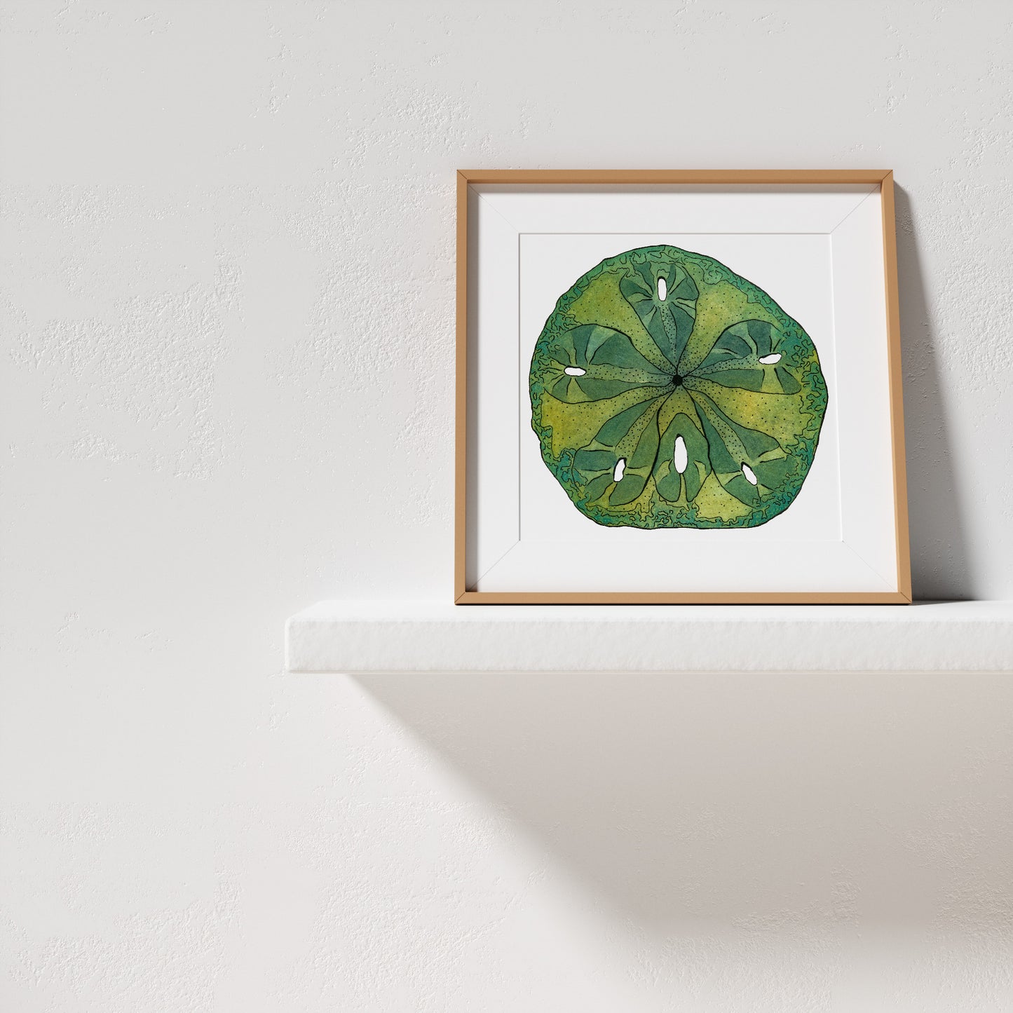 Sand Dollar No.1, Archival Print