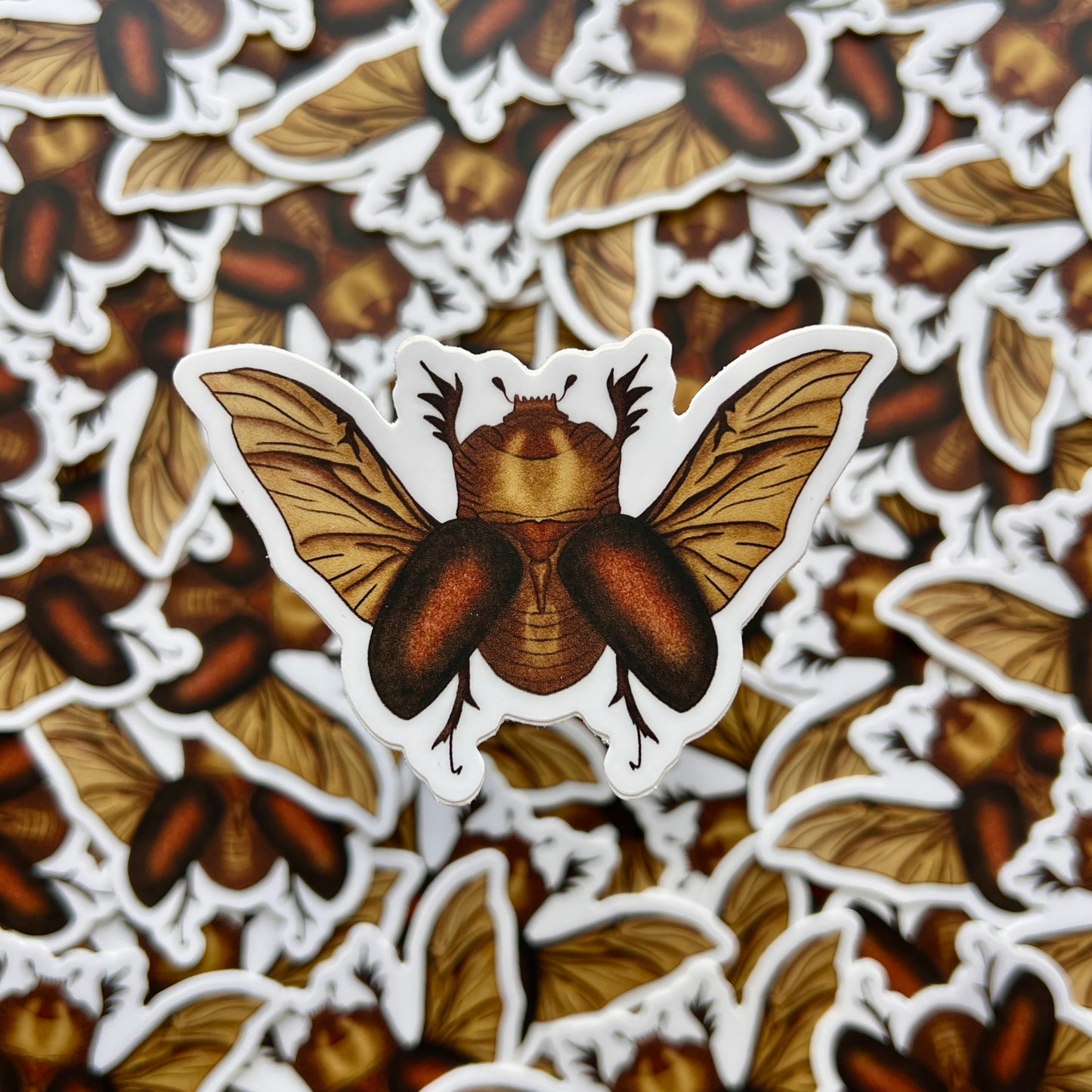 Rhino Beetle Vinyl Decal / Sticker