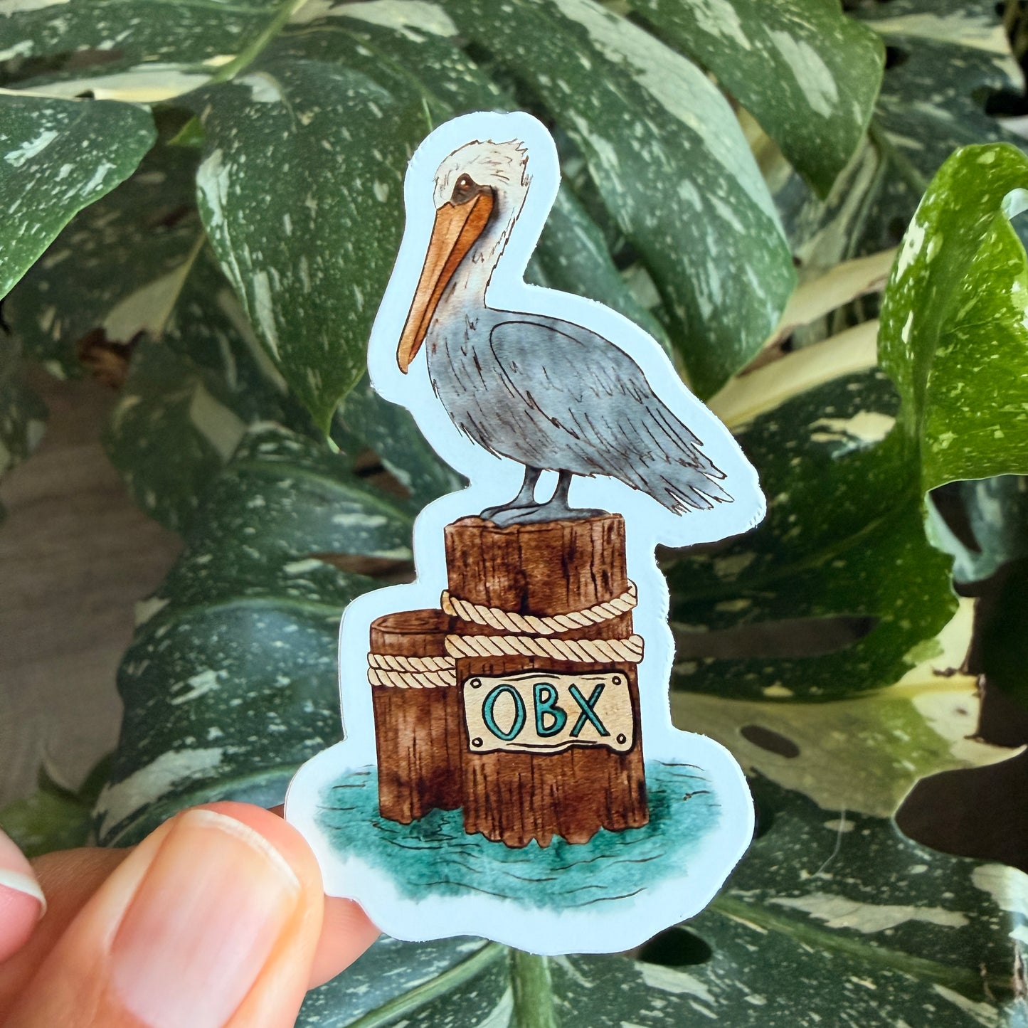 OBX Pelican Vinyl Decal / Sticker