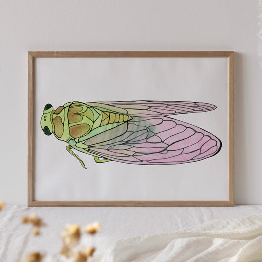 Cicada, Archival Print