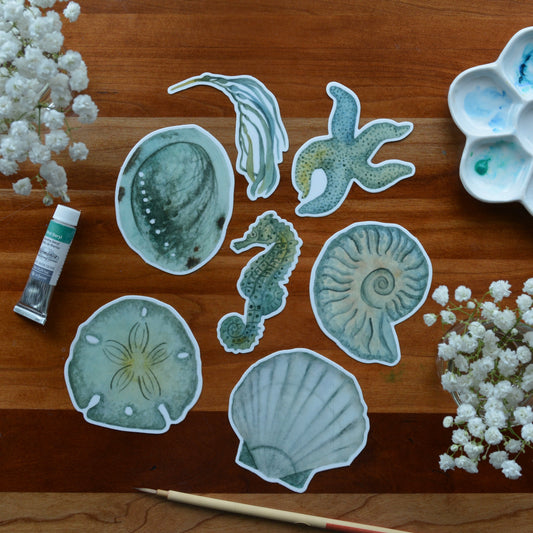 Sea Finds Sticker Pack