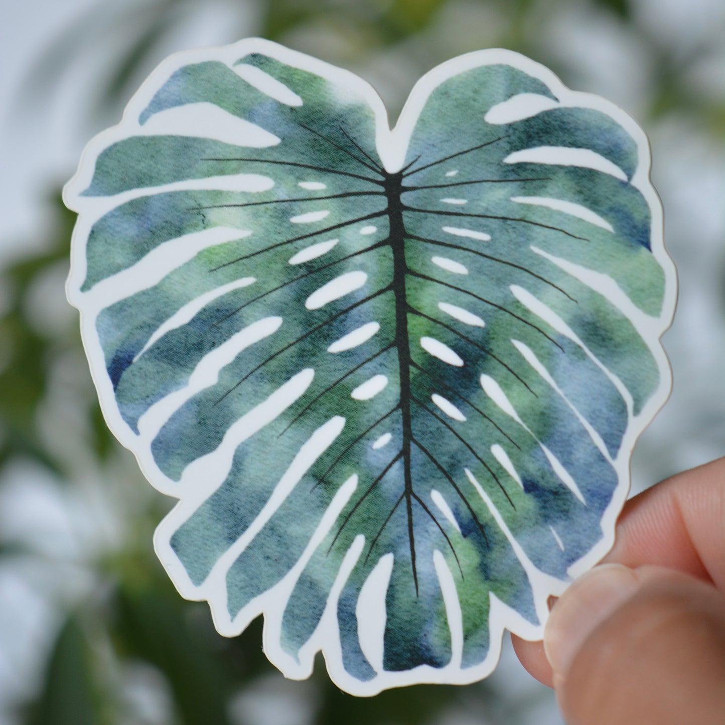 Monstera Vinyl Decal / Sticker