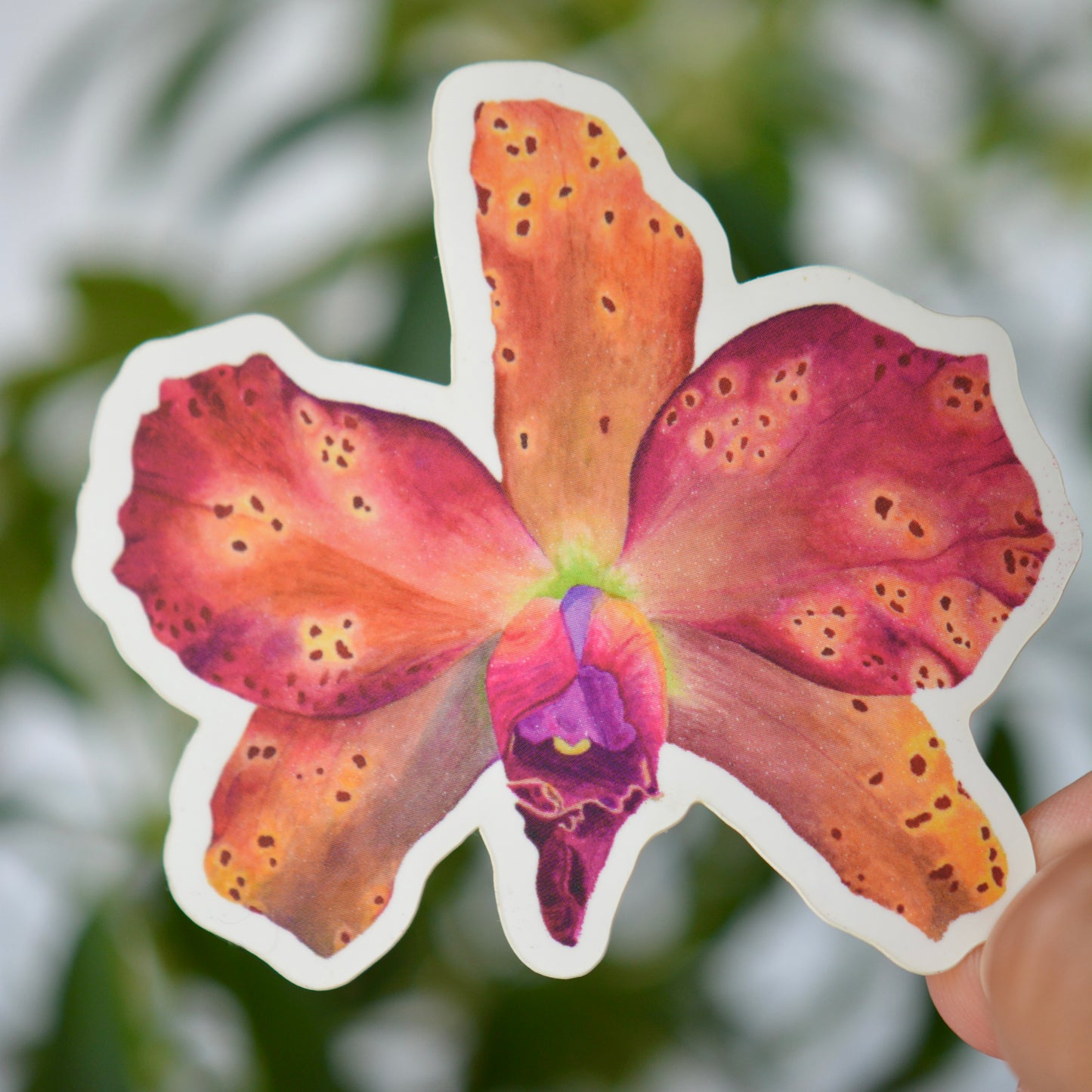 Orange Orchid Vinyl Decal / Sticker