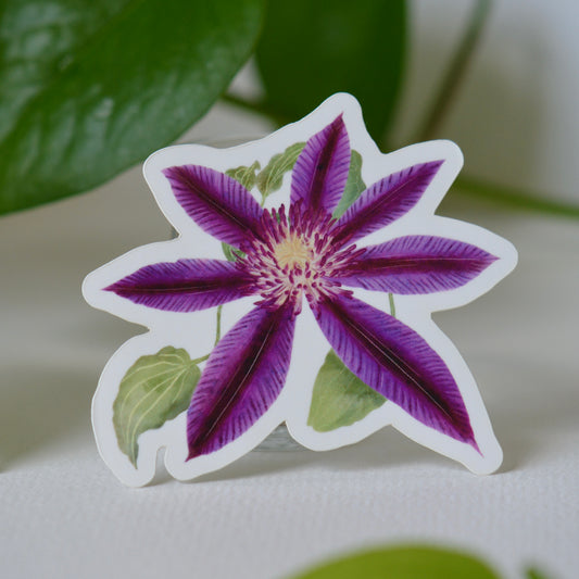 Clematis Vinyl Decal / Sticker