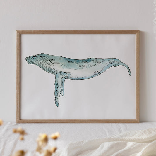 Blue Whale, Archival Print