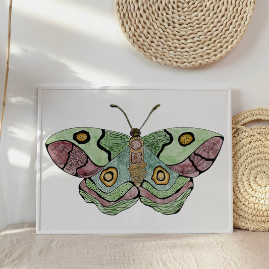 Moth No.1, Archival Print